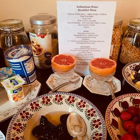 Bed and breakfast Ballinahoun Country House